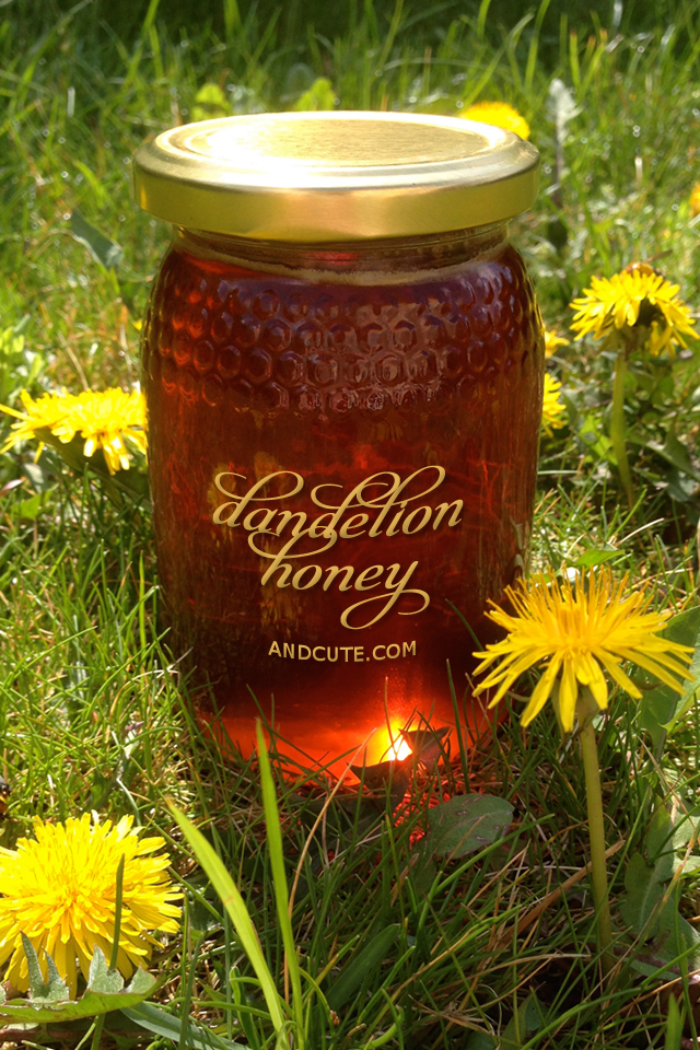 Bee Free Dandeloin Honey