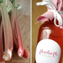 Homemade Rhubarb Syrup for perfect Spring Drinks
