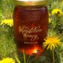 Bee Free Dandelion Honey