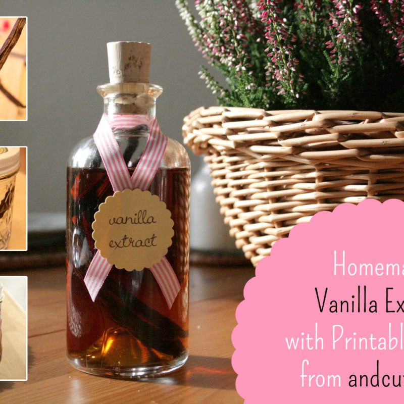 Homemade Vanilla Extract – with Printable Labels