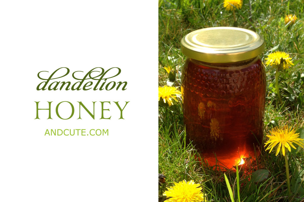 Dandelion Honey